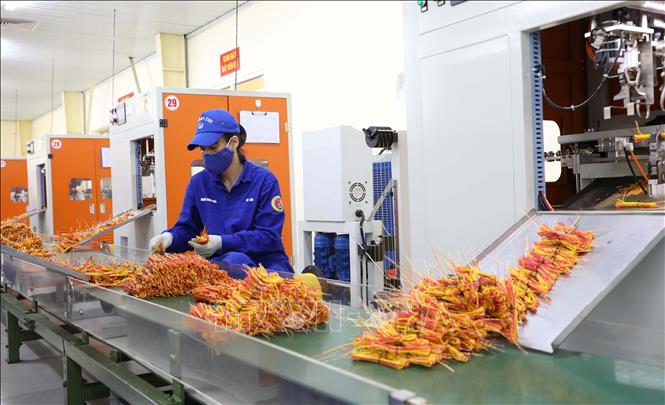Nhà máy Z121 đẩy mạnh hiện đại hoá dây chuyền sản xuất – Nâng cao năng suất & chất lượng sản phẩm